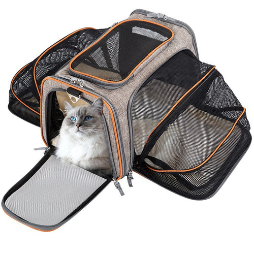 Travel & Walks carriers, leashes and GPS trackers