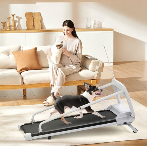 Smart Care & Safety smart feeders, water fountains and litter boxes
