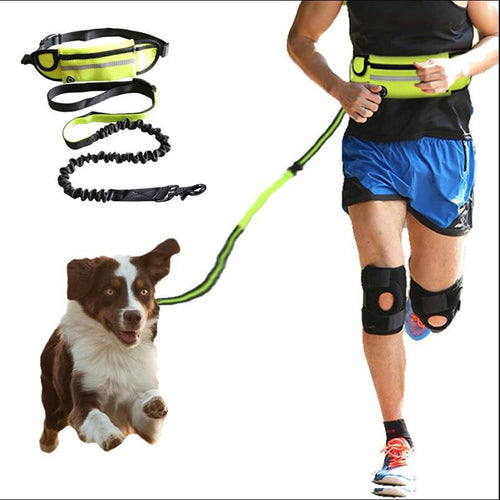 FreeStride Hands-Free Leash