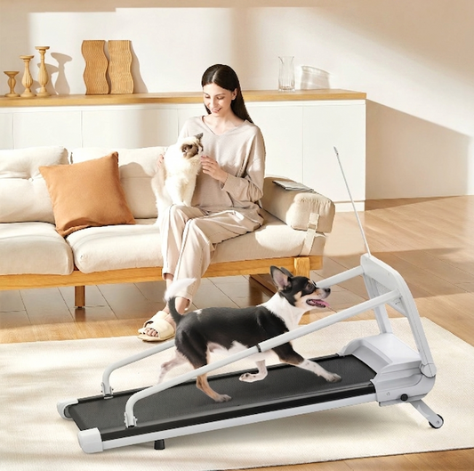 StrideFit Quiet Pet Treadmill